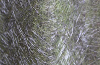 Wickhambrook fibreglass roof work